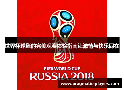 世界杯球迷的完美观赛体验指南让激情与快乐同在