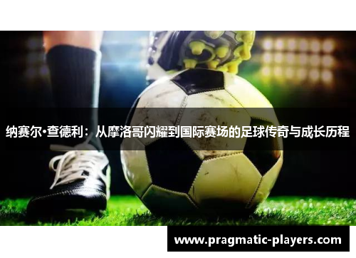 纳赛尔·查德利：从摩洛哥闪耀到国际赛场的足球传奇与成长历程