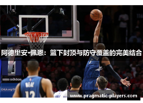 阿德里安·佩恩：篮下封顶与防守覆盖的完美结合