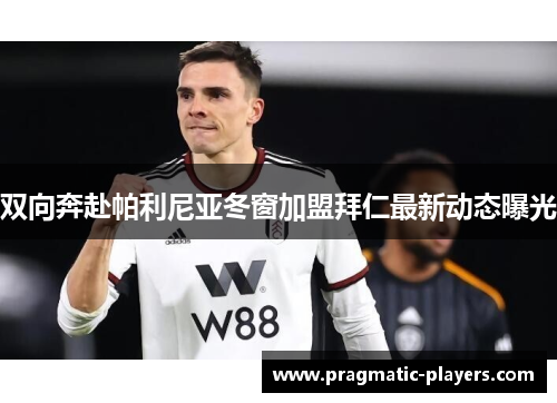 双向奔赴帕利尼亚冬窗加盟拜仁最新动态曝光