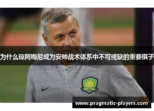 为什么琼阿梅尼成为安帅战术体系中不可或缺的重要棋子