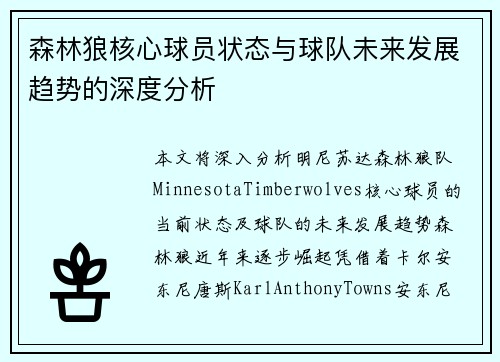 森林狼核心球员状态与球队未来发展趋势的深度分析