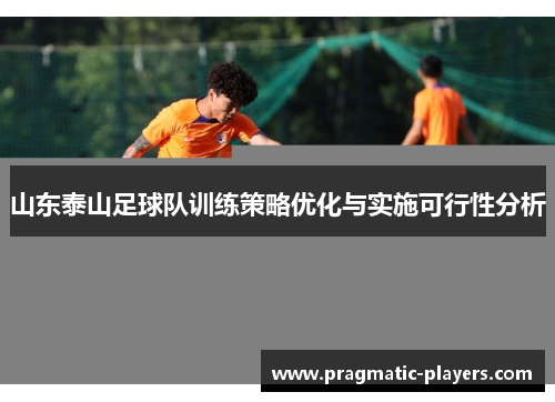 山东泰山足球队训练策略优化与实施可行性分析