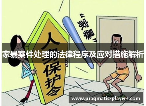 家暴案件处理的法律程序及应对措施解析