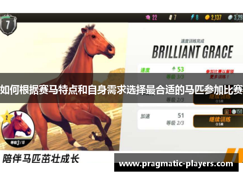 如何根据赛马特点和自身需求选择最合适的马匹参加比赛